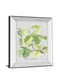 Ficus Carica By Katrien Soeffers - Mirror Framed Print Wall Art - Green