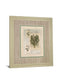 Histoire Du Orchid VII By Carney - Framed Print Wall Art - Green