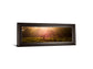 Morning Haze By Joe Reynolds Wall Art - Dark Brown