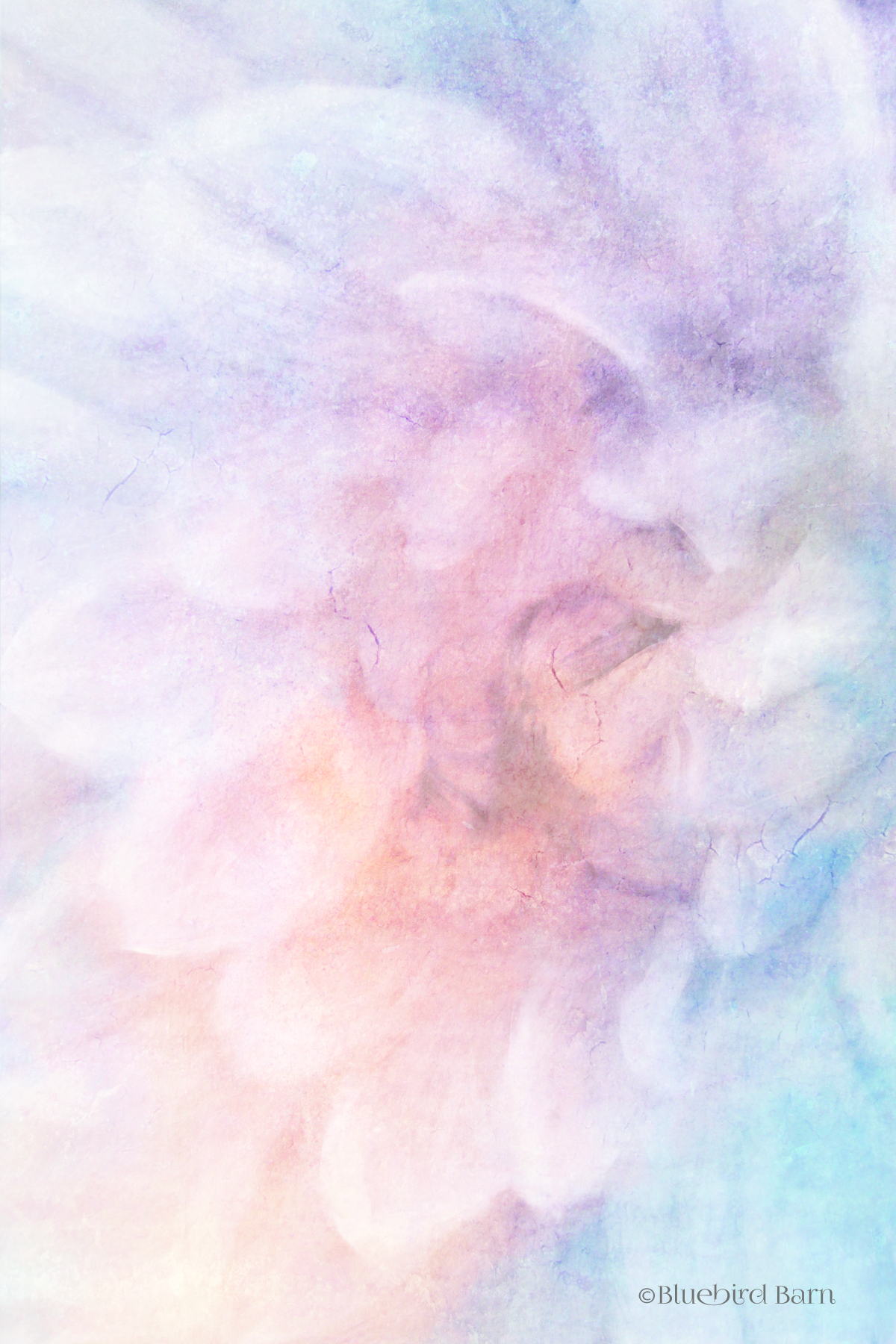 Framed - Soft Dahlia Pastel Blue Lilac By Bluebird Barn - Purple