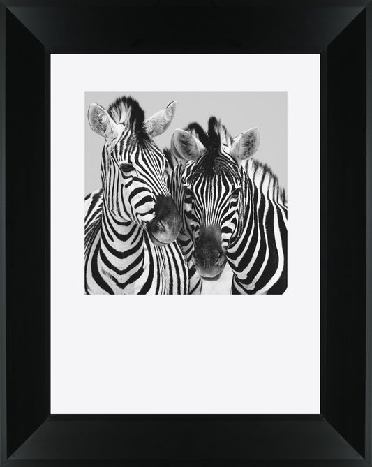 Namibia Zebra By Nina Papiorek - Framed Print Wall Art - White