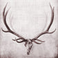 Open Range I By John Butler - Dark Gray