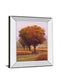 Charmony By Lovelace - Mirror Framed Print Wall Art - Orange
