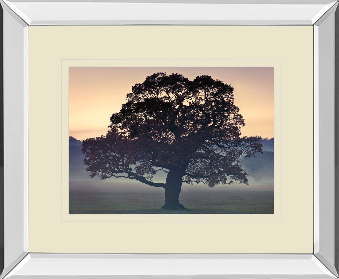Evening Wisdom By Assaf Frank - Mirror Framed Print Wall Art - Black