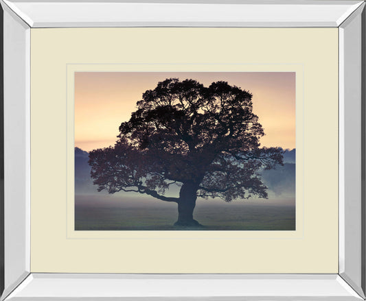 Evening Wisdom By Assaf Frank - Mirror Framed Print Wall Art - Black