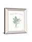 Farmhouse Cotton V By Beth Grove - Mirror Framed Print Wall Art - White