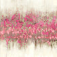 Framed Small - Crossing I By Dan Meneely - Pink