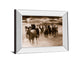 Running Horses By Monte Naglar - Mirror Framed Photo Print Wall Art - Dark Brown