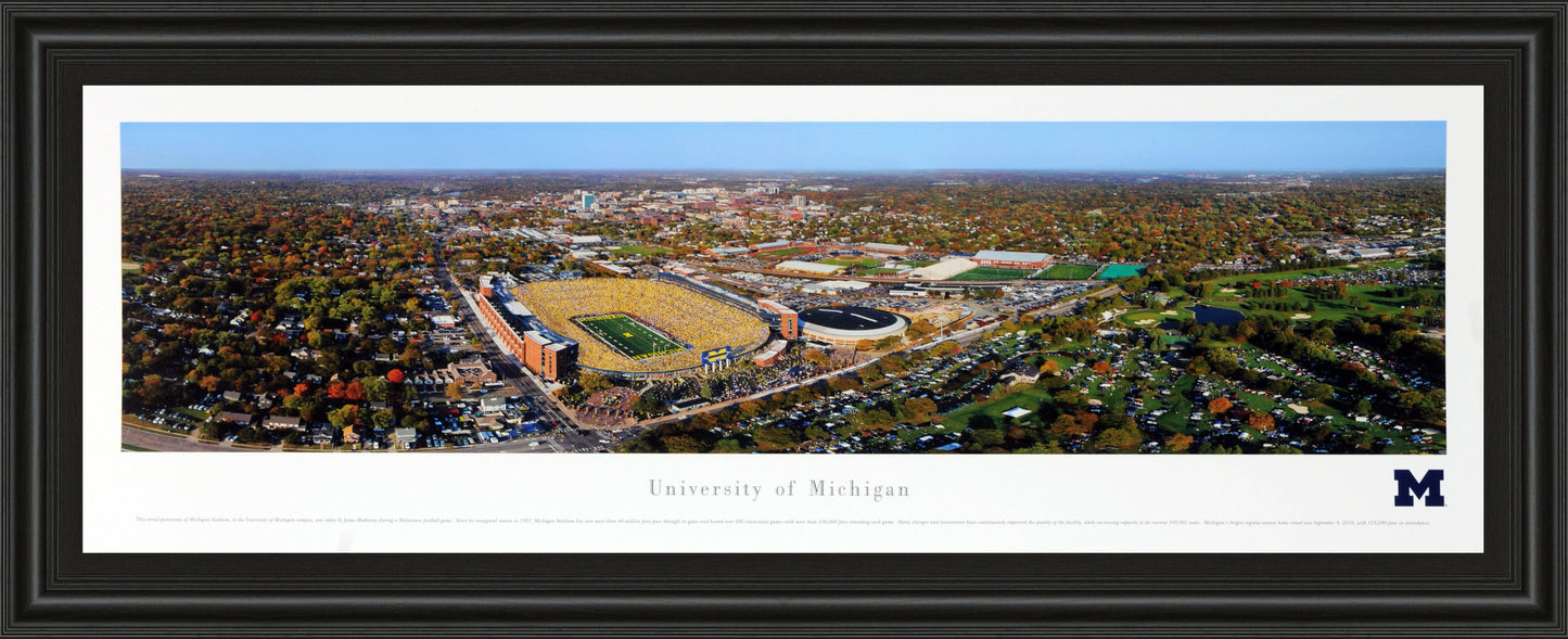 University Of Michigan #3 (Aerial) - Black