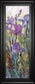 Iris Field I By Tim Otoole - Framed Print Wall Art - Purple