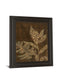 Tropical Night Il By Jane Carroll - Framed Print Wall Art - Dark Brown