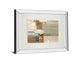 Chiffon By Cat Tesla Mirror - Framed Print Wall Art - Dark Gray