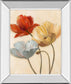 Poppy Palette Il By Nan - Mirror Framed Print Wall Art - Red