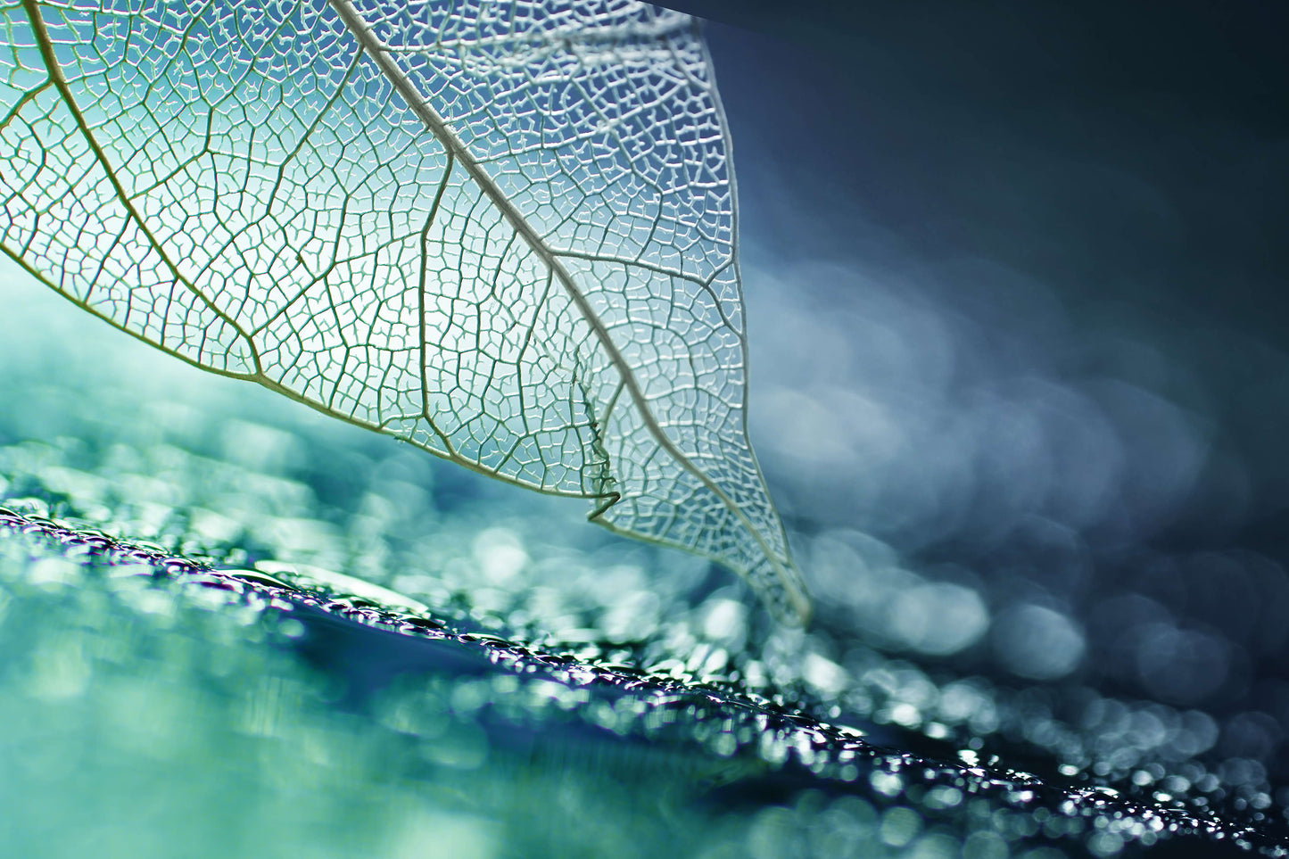 Tempered Glass With Foil - Leaf Skeleton - Blue
