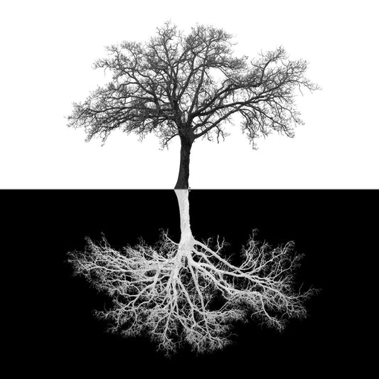 Framed - Inverse Tree - Black