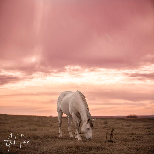 Framed - Pink Skies By Justin Pius - Pink