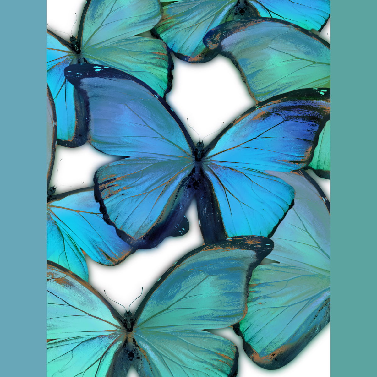 Gallery Wrapped Giclee On Canvas Oh These Butterflies - Blue
