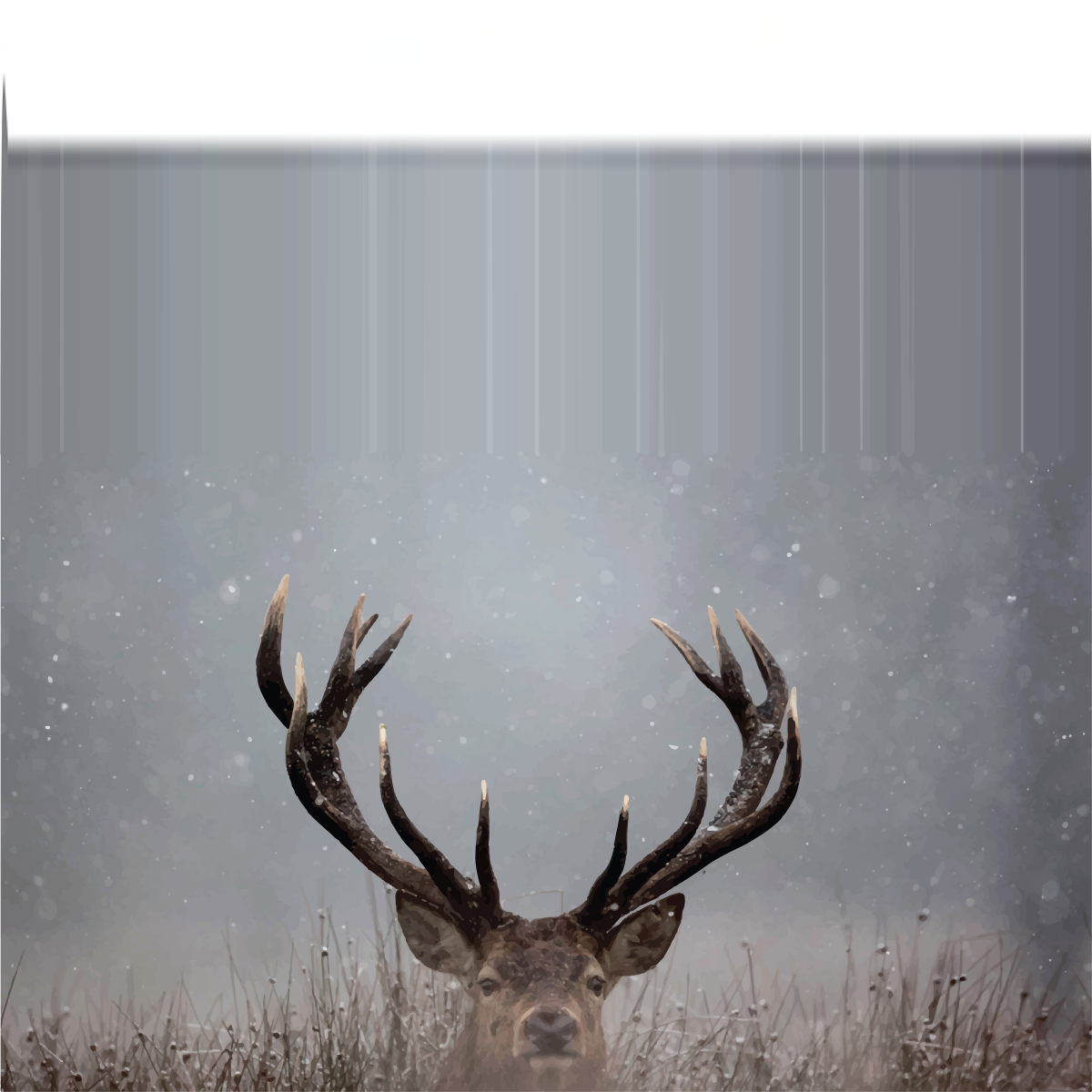 Framed - Pick A Boo By Waleed - Dark Gray