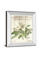 Magnolia De Printemps By Sue Schlabach - Mirror Framed Print Wall Art - White