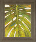 Tropical Leaf Il By Patricia Pinto - Framed Print Wall Art - Green