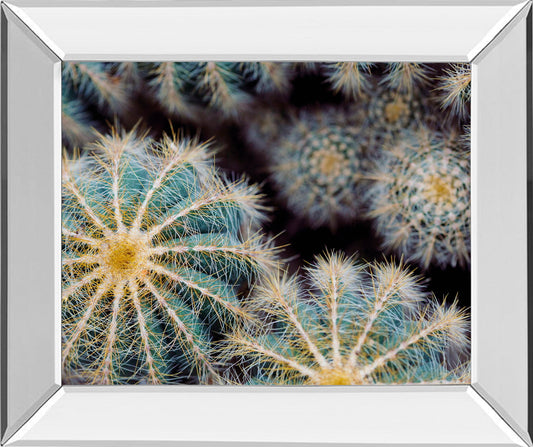 Namib By Irene Suchocki - Mirror Framed Print Wall Art - Green