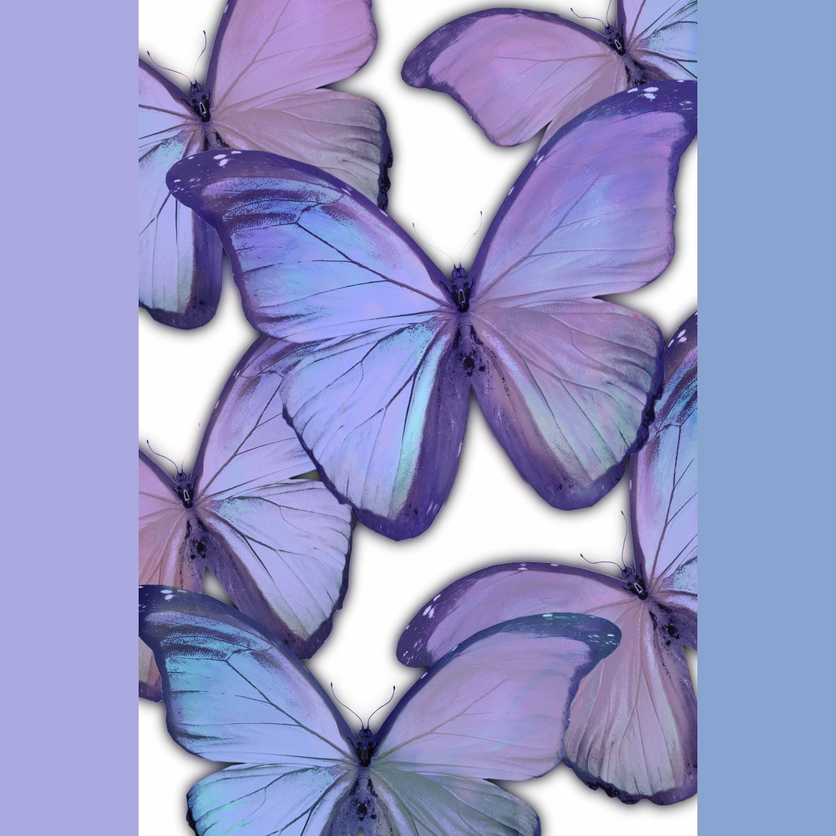 Gallery Wrapped Giclee On Canvas Oh These Magic Butterflies - Purple