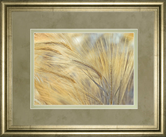 Foxtail By Assaf Frank - Framed Print Wall Art - Yellow
