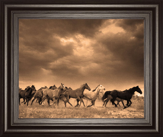 Remuda #6 By Jahiel - Framed Photo Print Wall Art - Dark Brown