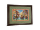 Kaleidoscope By Jmp - Framed Print Wall Art - Dark Brown