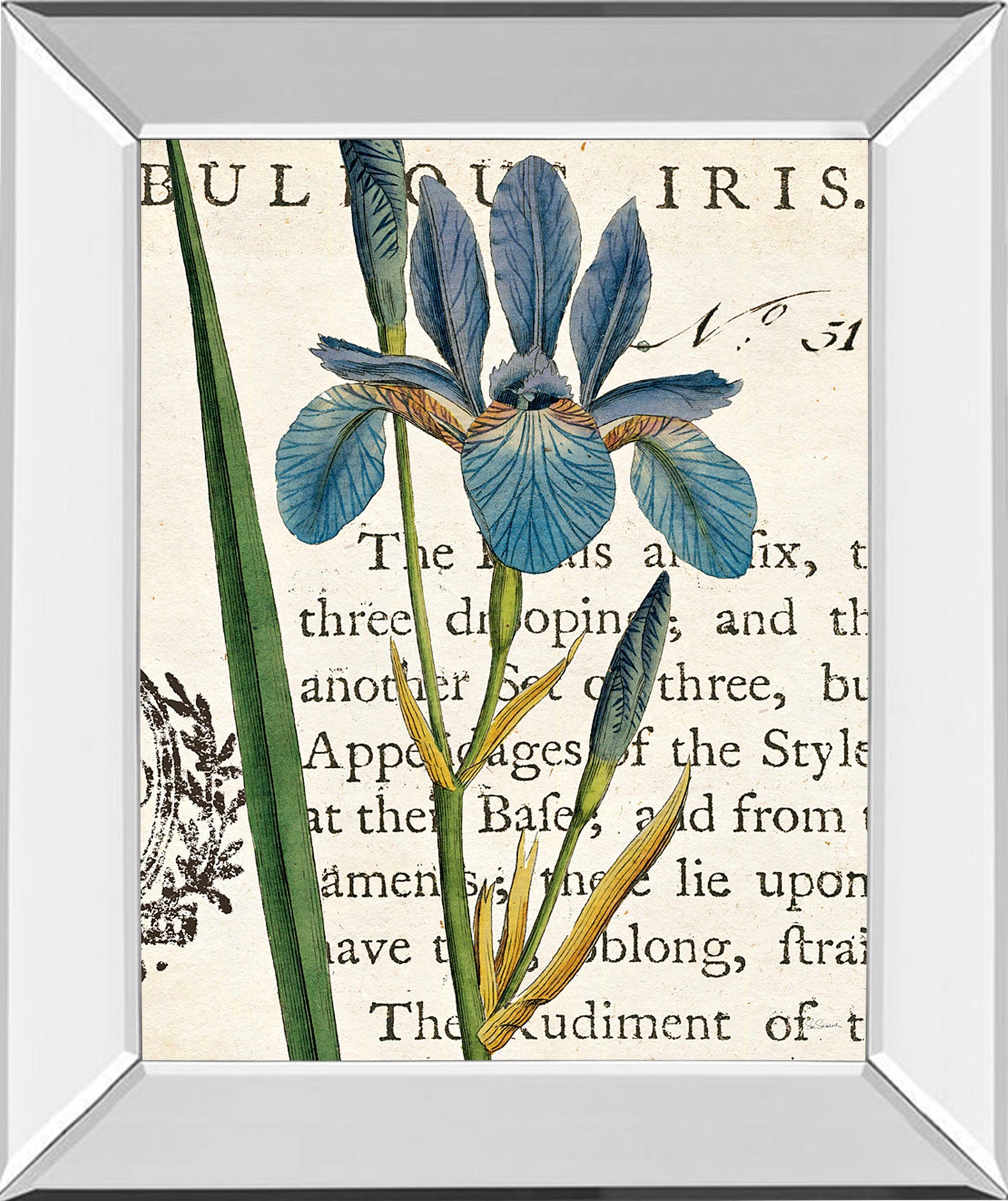 Iris Letter By Sue Schlabach - Mirror Framed Print Wall Art - Blue
