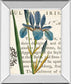 Iris Letter By Sue Schlabach - Mirror Framed Print Wall Art - Blue