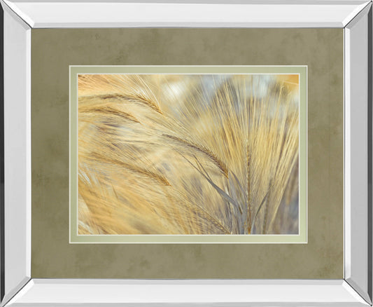 Foxtail By Assaf Frank - Mirror Framed Print Wall Art - Yellow