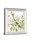 Sage Garden II By Carol Robinson - Mirror Framed Print Wall Art - Green