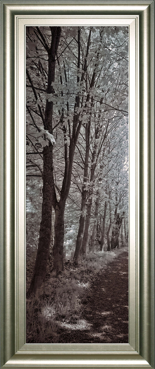 A Walk To Remember I By Ily Szilagyi - Dark Brown