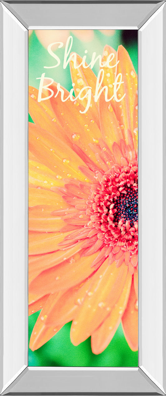 Shine Bright Daisy By Susan Bryant - Mirror Framed Print Wall Art - Orange