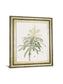 Dracaena Reflexa By Pierre Joseph Redoute - Framed Print Wall Art - Green
