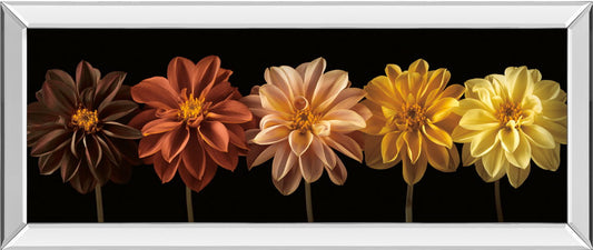 Floral Salute By Assaf Frank - Mirrored Frame Wall Art - Black